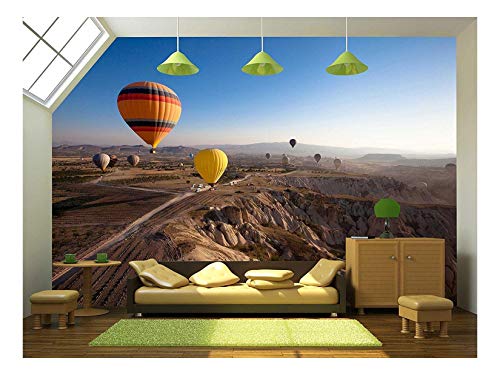 wall26 - Inspiring Beautiful Landscape with Hot Air Balloons - Removable Wall Mural | Self-Adhesive Large Wallpaper - 66x96 inches