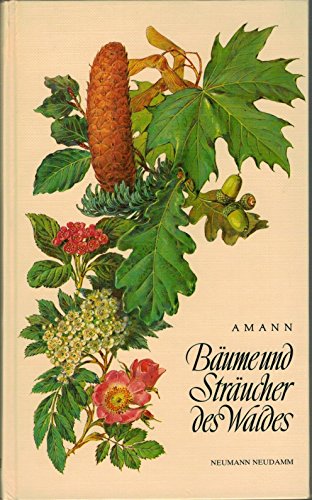 Bäume und Sträucher des Waldes Bäume und Sträucher des Waldes