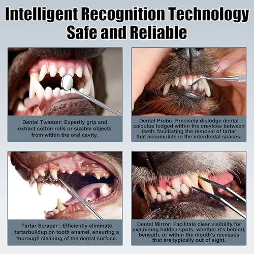 Image of Dog Plaque Tartar Remover for Teeth - Electric Pet Toothbrush with 2 Replacement Cleaning Heads, Adjustable 3 Modes Dog Toothbrush Teeth Cleaning Kit for Pet Cat (Black)