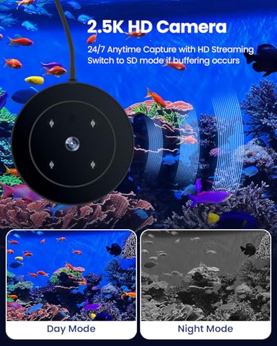 Wolmds WiFi Automatic Fish Feeder with 2.5K Camera, 2.4/5G Smart App Control & Vacation Timer, Precision Fish Food Dispenser, 230ML Moisture-Proof Visual Aquarium Feeder for 10+ Gallon Tanks — view 5