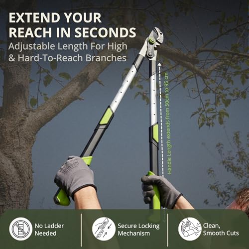 Image of Kraft Seeds Telescopic Gear Anvil Lopper, Heavy Duty Tree Branch Cutter with Long Stick, Pruning Cutter, Fruit Plucker, Carbon Steel Blade, Extendable Handle Tree Pruner Tool