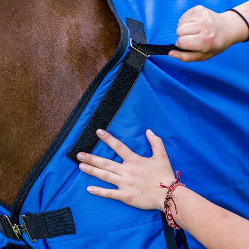 Image of TUFFRIDER 1200D Comfy-FIT Standard Neck Medium Weight Horse Turnout Blanket, Royal, 84-in