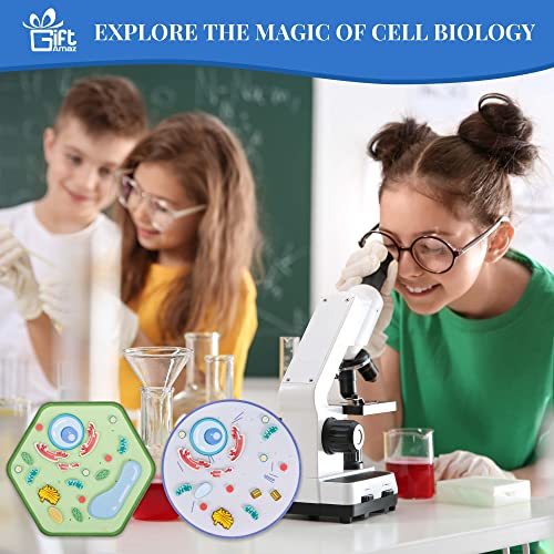 Image of GiftAmaz Animal and Plant Cell Anatomy Model, Soft Felt Science Model Toy | Early Cell Biology and Life Science STEM Toy, Classroom Teaching Aid, Educational Learning Activities Birthday Toy for Kid 6+