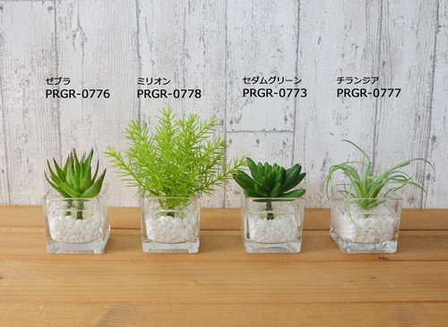 `WA EH[^[L[u ϗtA tFCNO[ GREENPARK