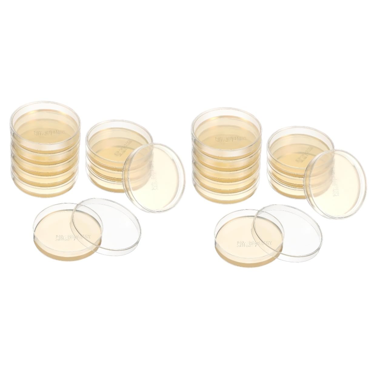 SOLUSTRE Piastre Petri Con Agar Preconfezionate 7X7X0.8 Pollici Kit 20 Pezzi Strumenti Scientifici Per Coltura in Laboratorio Piatti Nutrienti Per Esperimenti Stem Scuola