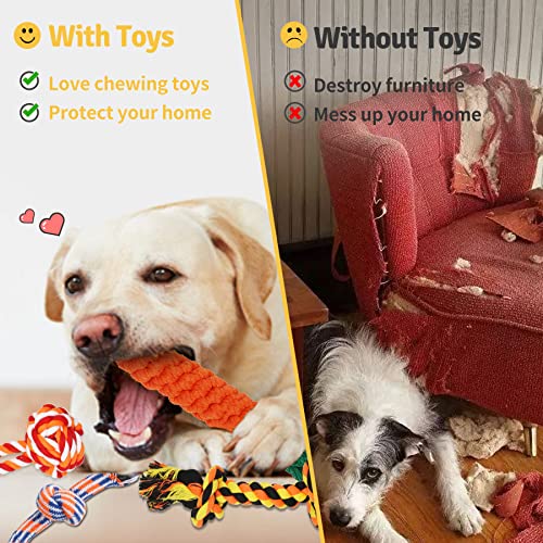 image for Zeaxuie Luxury Tough Dogs Toys for Aggressive Chewers -12 Pack Valued 