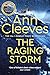 Cover zum Buch The Raging Storm