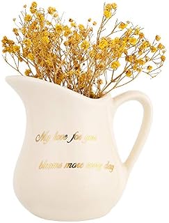 HOME SMILE 4" Small White Ceramic Pitcher Vase for Flowers-Valentines Day for Girlfriend