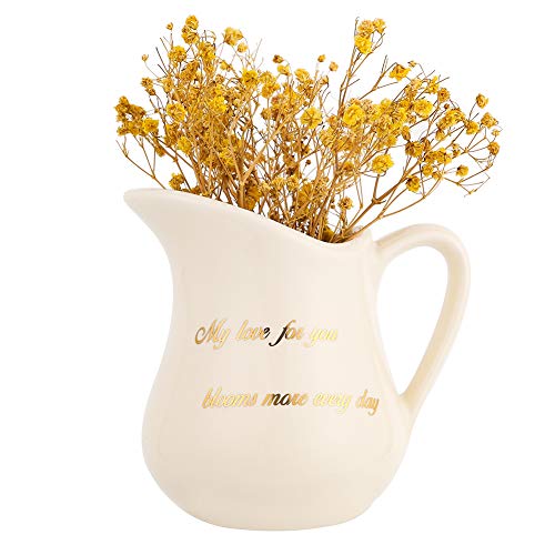 HOME SMILE 4" Small White Ceramic Pitcher Vase for Flowers-Valentines Day for Girlfriend