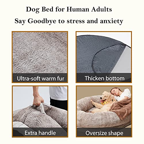 Letto Cuccia Gigante per Umani, Divano per Cani