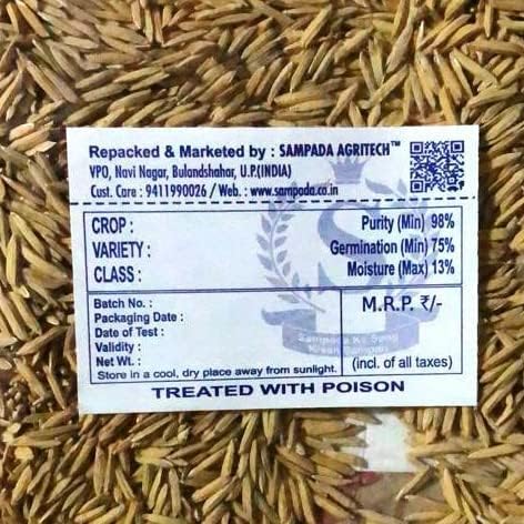 Image of Sampada Foods Agritech | Pusa Basmati Paddy Seeds 1509 | Pure Pusa Basmati Rice Seeds | For Farming Planting & Agriculture | 6 kg