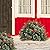 HiBean Outdoor Christmas Tree Frosted Urn Filler 2 Set with 50 Lights, Battery Operated Pre-lit Artificial Flocked Xmas Tree with Cones & Red Berries, Small Christmas Tree for Porch & Yard (White)