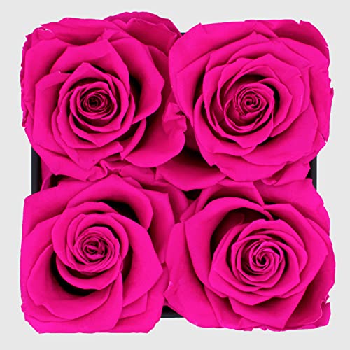 Graceful Fleurs | Real Roses that Lasts for Years | Fresh Flowers for Delivery Prime Birthday | Birthday Gifts for Women Her | Preserved Roses in a Box | Forever Rose Box | Christmas Gifts for Women (Radiant Pink)