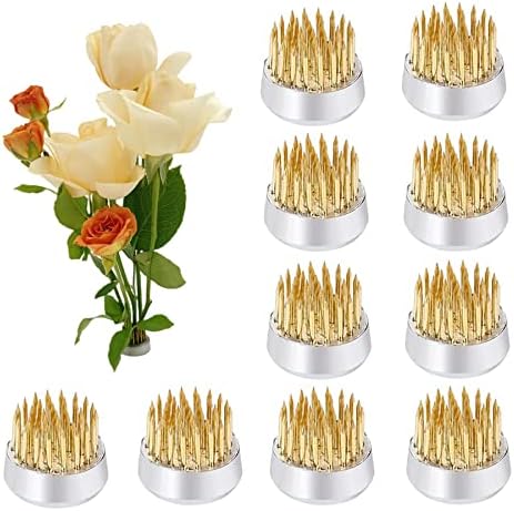 10Pcs Floral Frogs 23mm/0.9inch Round Kenzans Mini Flower Frog Pin Frog Japanese Ikebana Spiky Frog Fixed Tools Metal Flower Arranger Tool Pin Holder for Small Vase