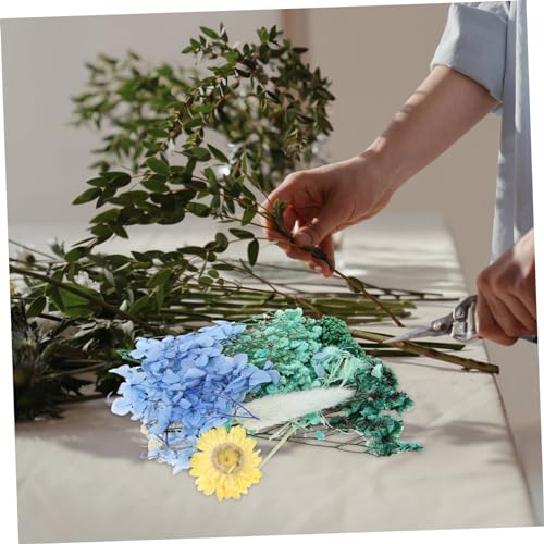 Kit de Flores Secas Naturales para Manualidades 1pack miniatura 6