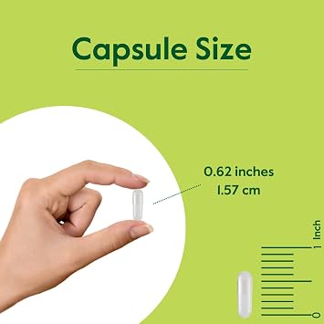 BESTVITE Pycnogenol 50mg (60 Caps) - French Maritime Pine Bark Extract
