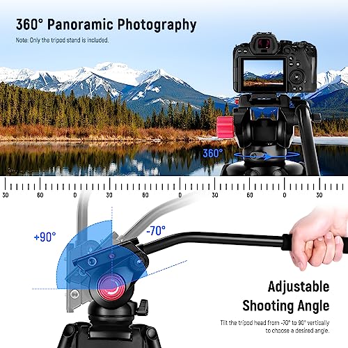 NEEWER 79"/200cm Video Tripod, Heavy Duty Aluminum Alloy Camera Tripod Stand with 360° Fluid Drag Head, QR Plate Compatible with Canon Nikon Sony and Other DSLR Camera Camcorder, Load Up to 17.6lb/8kg
