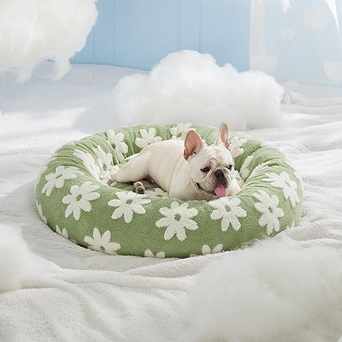 Lesure-Donut-Small-Dog-Bed-Round-Cat-Beds-for-Indoor-Cats-Calming-Pet-Beds-Cute-Modern-Beds-with-Jacquard-Shaggy-Plush-Anti-Slip-Bottom-30-Inch-Green