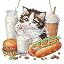 Breakfast Cat