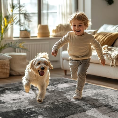 Area Rugs 8x10 for Living Room Bedroom, Modern Abstract Machine Washable Large Soft Black Rug, Low Pile Floor Carpet with Non Slip Backing for Dining Room, Carbon Black