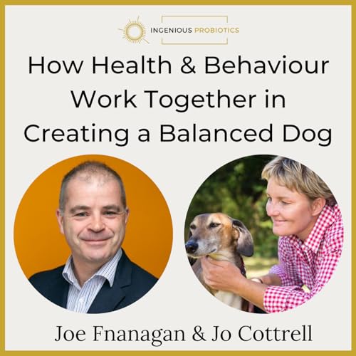Joe Flanagan chats with dog behaviour specialist Jo Cottrell about the link between health and behaviour