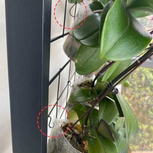 leersao 20 Stück S Haken Zum Einhängen, 3,2cm kleine S Haken Hängehaken Schwarz Mini Aufhängehaken Metall Haken für DIY Handwerk Hängenden Schlüsselanhänger Schmuck Namensschild