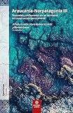 araucania flughafen  Araucania-Norpatagonia III: Tensiones y reflexiones en un territorio en construcción permanente (Spanish Edition)
