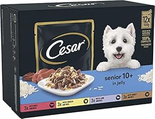 CESAR Senior 10+ Deliciously Fresh Wet Dog Food Pouches aged dogs, Mixed Selection in Jelly, suitable for senior dogs aged 10+, Pack of 4 (4 x 12 Pouches x 100 g)