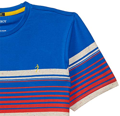 Image of Indian Terrain Boy's Regular Fit T-Shirt