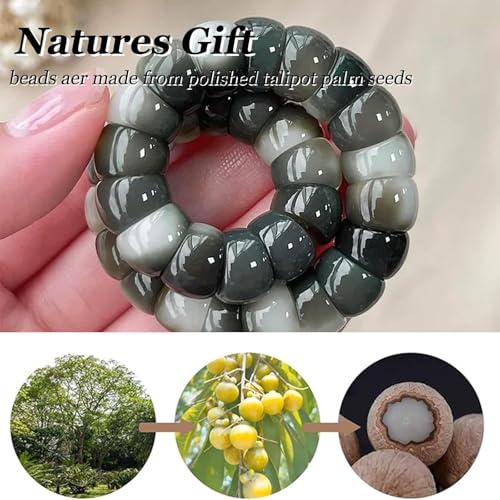 Image of Natural Bodhi Seed Bracelets Anxiety Fidget Bracelets Anxiety Relief Items Protection Healing Stretch Bodhi Fidget Bracelet for Women Men