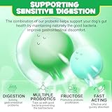 Probiotics Chews for Dogs, Pre & Digestive and Immunity Treats for Dog, 60Pcs Support Gut Health, Seasonal Allergies, Itchy Skin, Dog Soft Supplement for Pet Immune System for All Type Dogs - Image 6