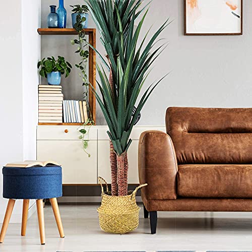 Worth Garden Artificial Yucca Tree,Faux 6Ft Silk Plant,Realistic Tropical Dracaena Artificial Tree,70In Tall,Fake Potted Plant Uv Rated For Indoor Outdoor Home Décor,Black Pot & 20G Dry Moss Included #TOP3