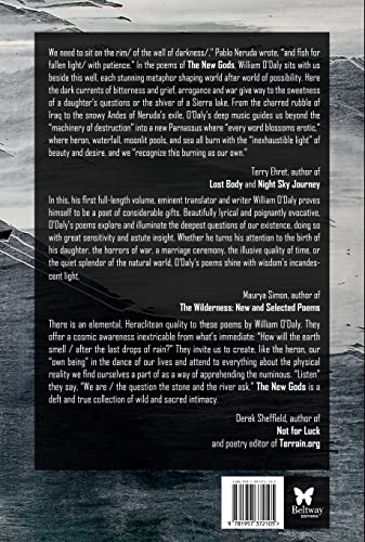 The New Gods - Image 2