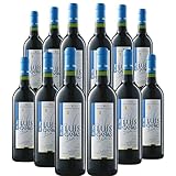 Este vino tinto joven es ideal para acompañar a aperitivos y entrantes de ibéricos