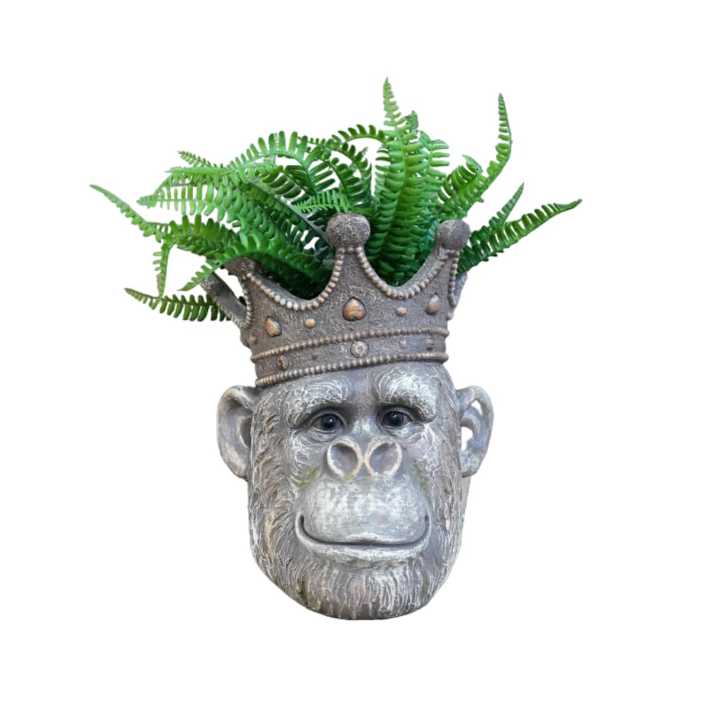 Gifts Direct 2 U Decorative Plant Pot Resin Monkey Gorilla King of the Jungle Head Planter Unique Animal Design Home