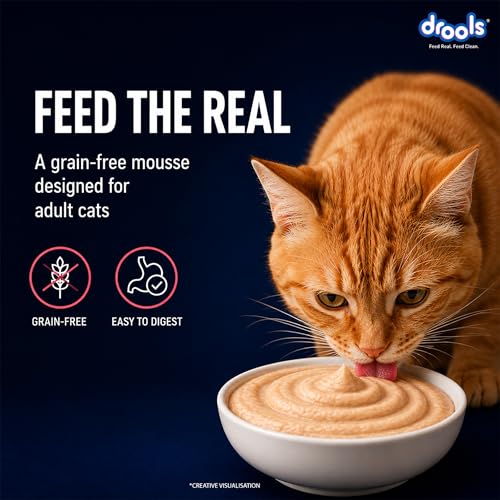 Image of Drools Adult Cat Wet Mousse 80g Pack of 5, 400g | Salmon Flavour | Rich in Protein | Promotes Hydration & Easy to Digest | No Artificial Flavours | Packed with Essential Vitamins & Antioxidants