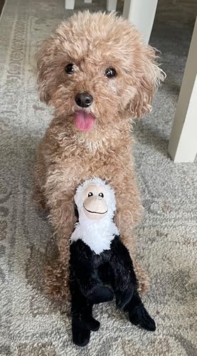 Glory To Dog Buddy's Monkey Juguete Para Perros Pequeños miniatura 4