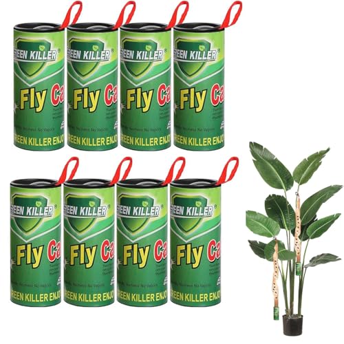 LYPER Lot de 8 pièges à mouches adhésifs pour fenêtre - Pour l'intérieur et l'extérieur - Vert