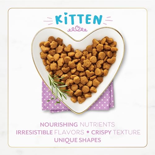 Image of Purina Fancy Feast Kitten With Savory Chicken and Turkey Kitten Dry Food - 7 lb. Bag