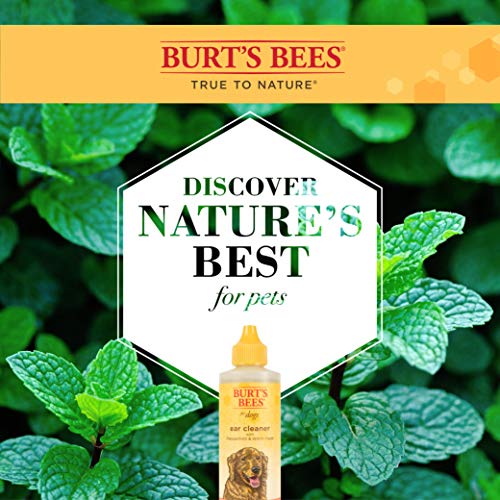 Burt's Bees For Dogs Natural Ear Cleaner With Peppermint And Witch Hazel | Effective & Gentle Dog Ear Cleaning Solution For All Dogs And Puppies | Made In Usa, 4 Oz #TOP2