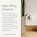 PuraHome Scent Refill - Smart Home Air Diffuser - Up to 120-Hours of Luxury Fragrance per Refill - Home Essential - Clean & Safe Diffuser Fragrance - 2 Pack, Cozy Cashmere