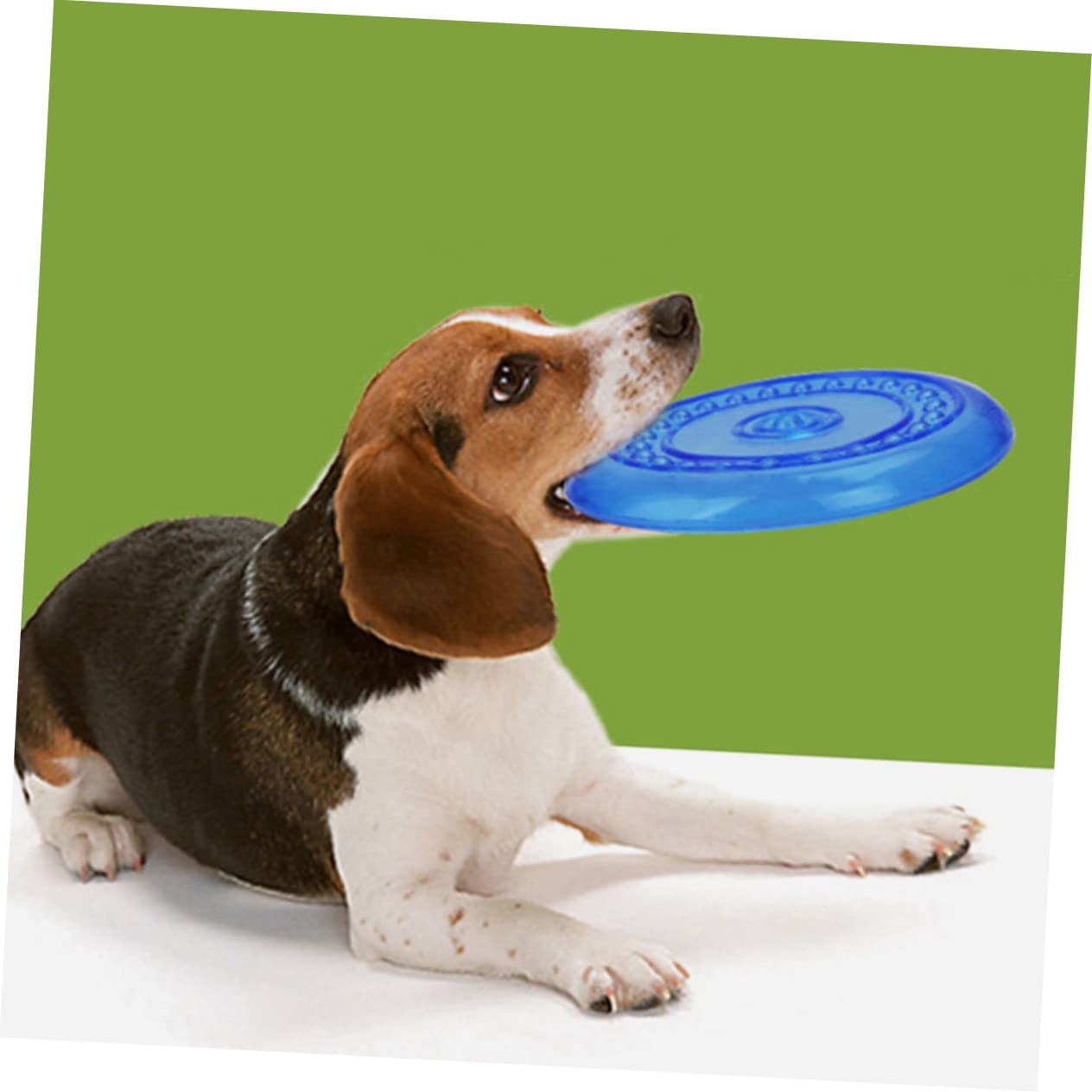 BESTonZON 2 Stück Haustierspielzeug Hundekauspielzeug aus TPR Waschbar und Schützend Blauer Fliegender Wurfscheibe für Hunde für Outdoor Training