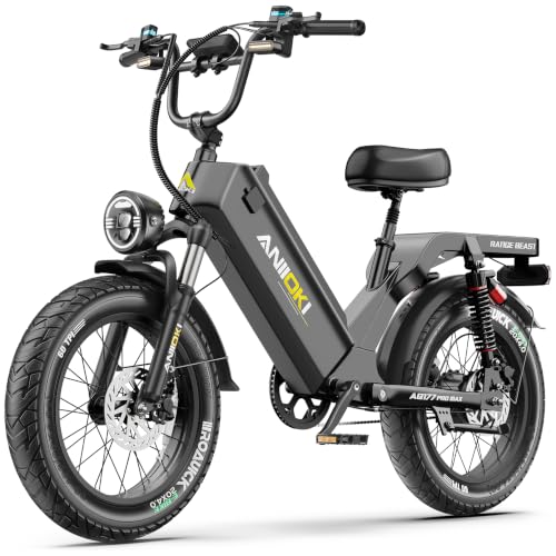 ANIIOKIBIKE Long Range Electric Bike