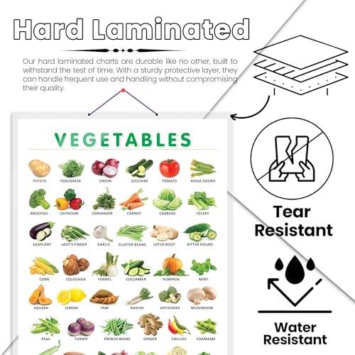 Image of VEGETABLE CHART HARD LAMINATED | inchColorful Garden Guide inch