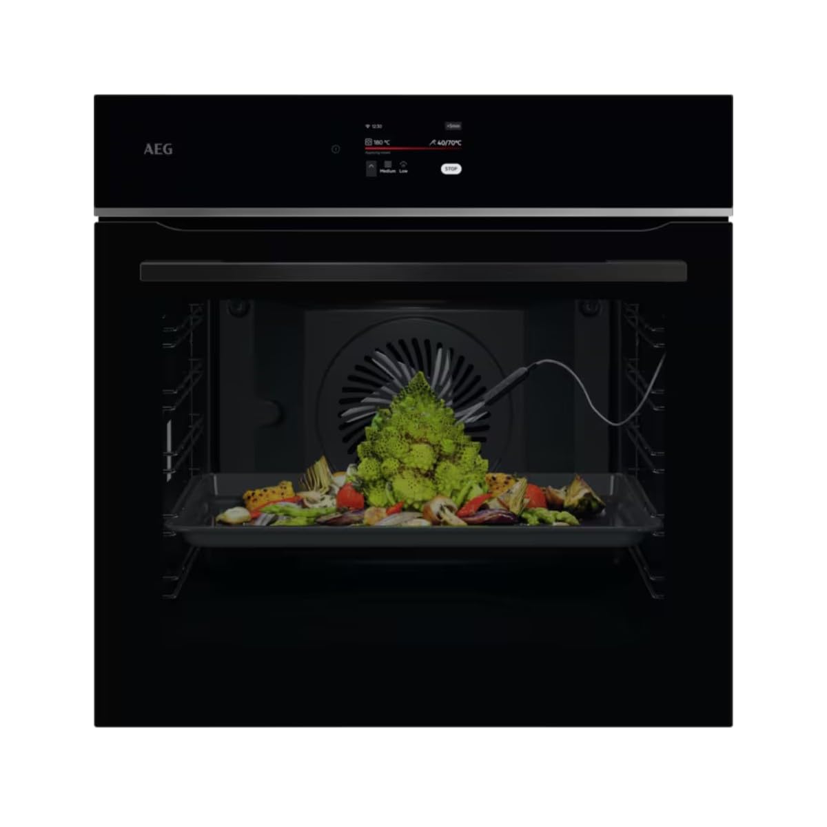 Horno multifunción AEG con 16 funciones - TE8PB731AB