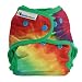 Best Bottom Cloth Diaper Shell-Snap, Totally Tie Dye