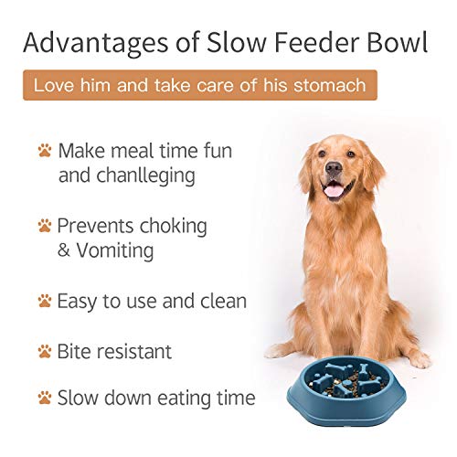 Dog Bowl Slow Feeder Dog Bowl Bloat Stop Dog Food Bowl Interactive Puzzle Healthy Eating Bowl (Navy blue) - Image 5