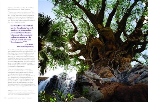 A Portrait of Walt Disney World: 50 Years of The Most Magical Place on Earth (Disney Editions Deluxe) - Image 15