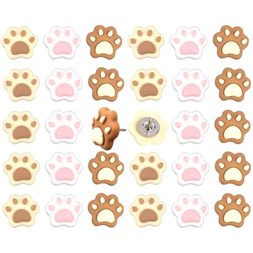 SUNCN 30 킢L̑s    e RNf ʐ^  nEB NX}X 3F