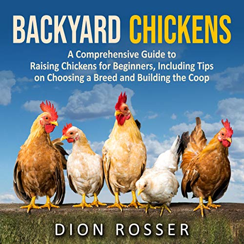 Backyard Chickens A Comprehensive Guide to Raising Chickens for